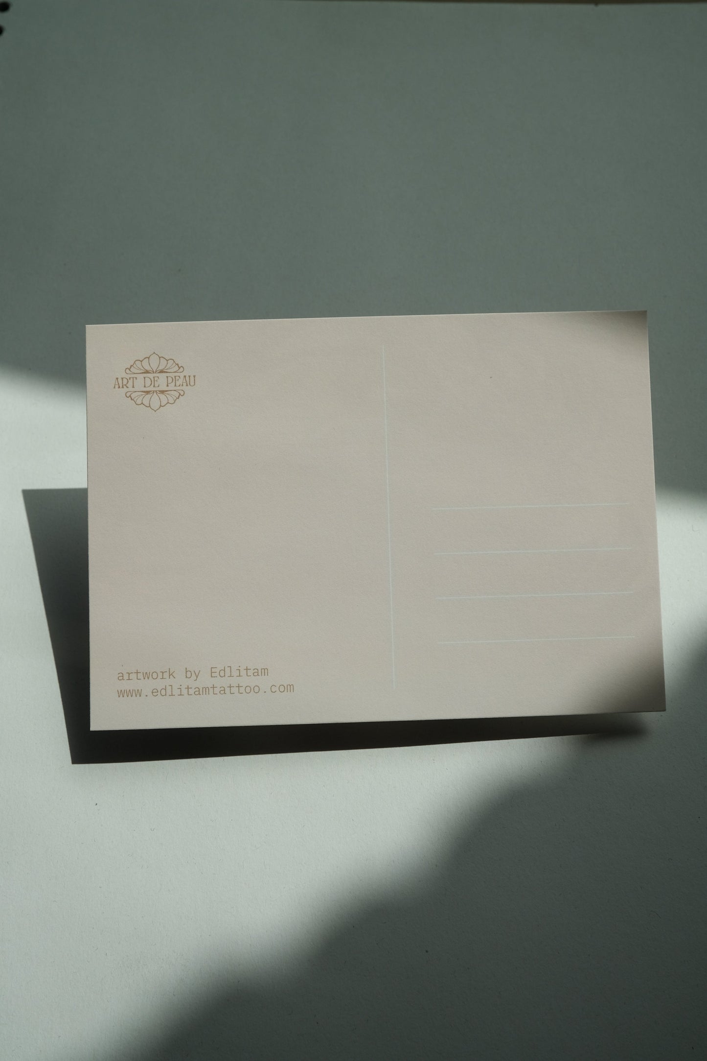 Green Parakeet Postcard