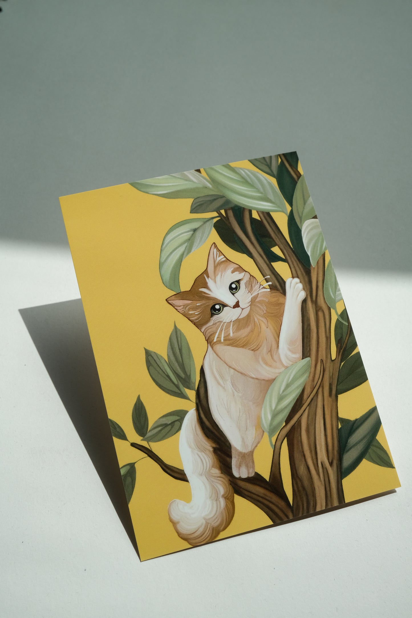 Cat in tree