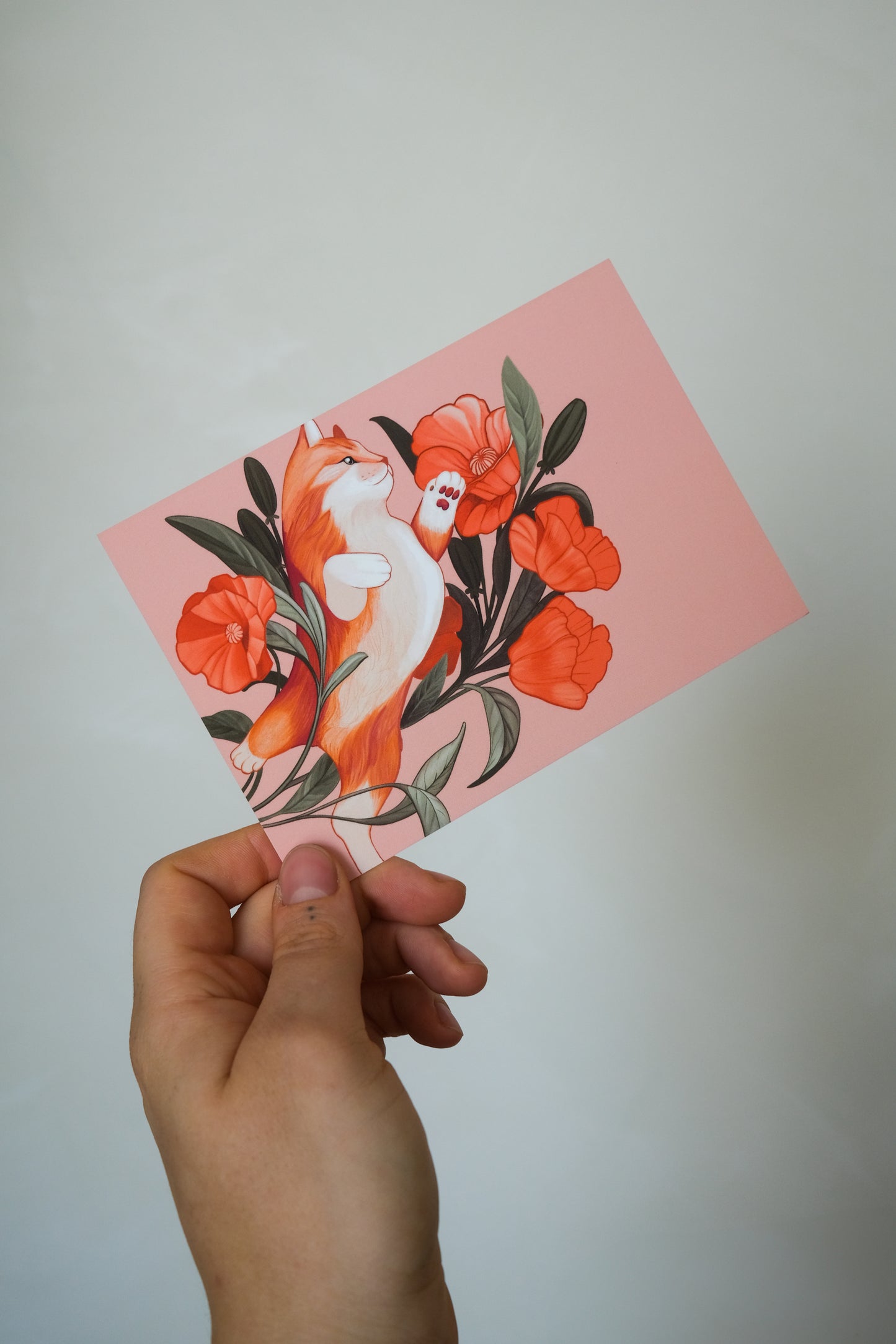 Cat and flowers