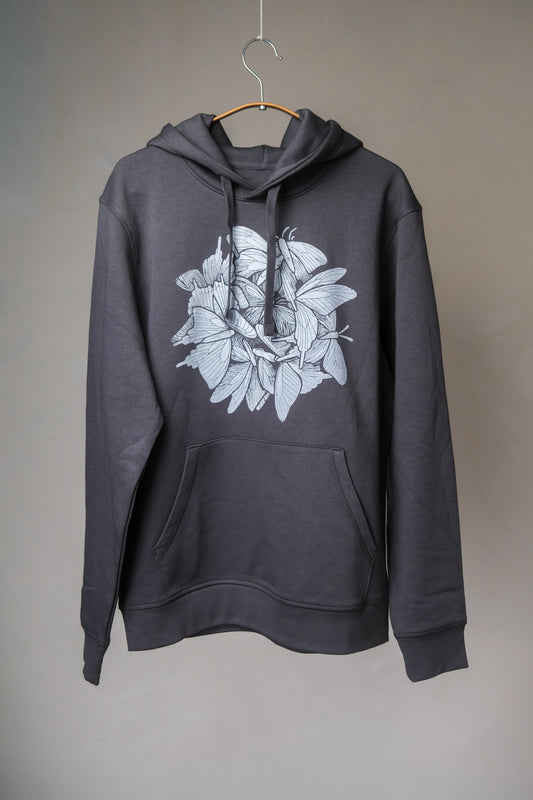 Noctua Hoodie in Grey