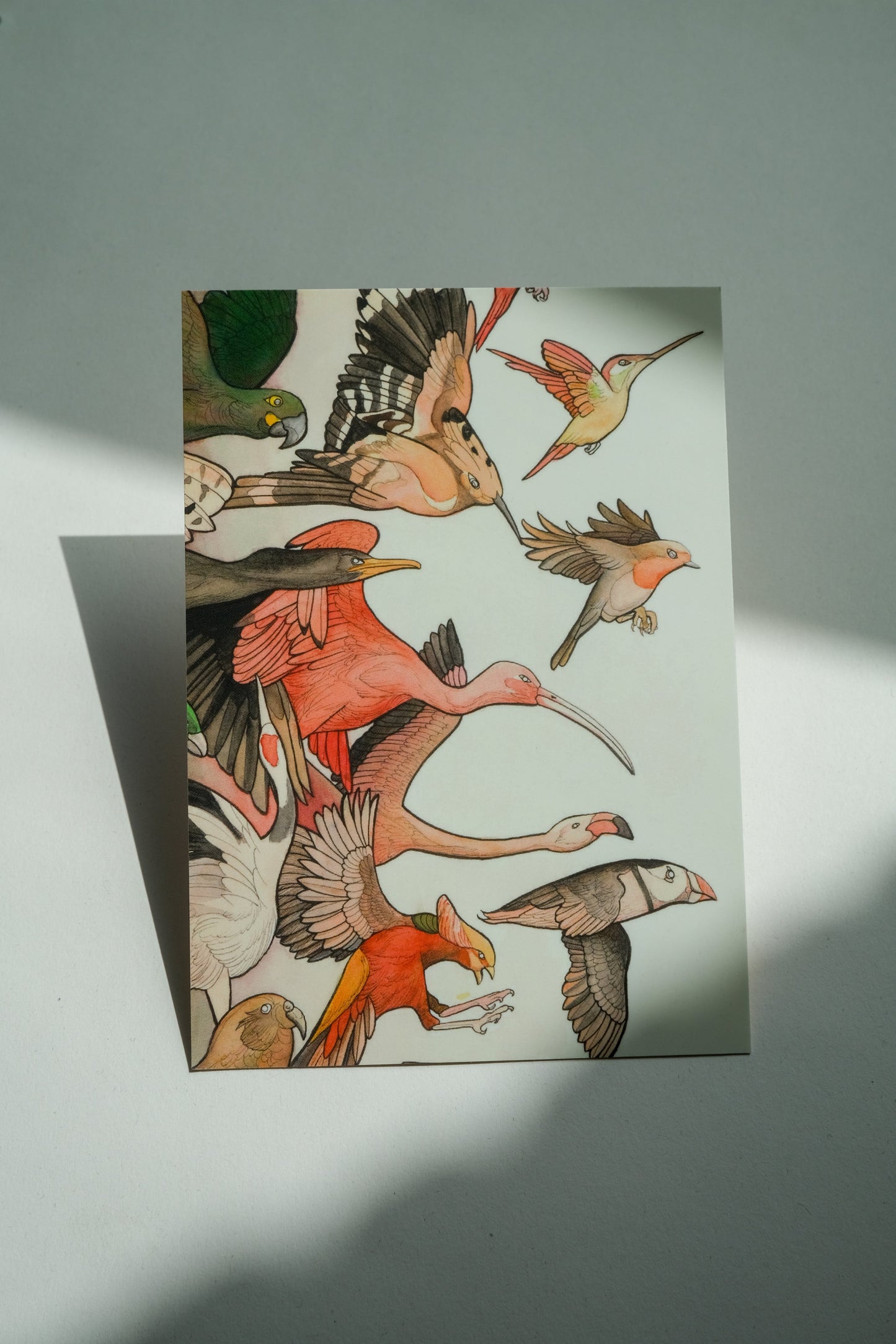 Set of 5 Watercolour Postcards