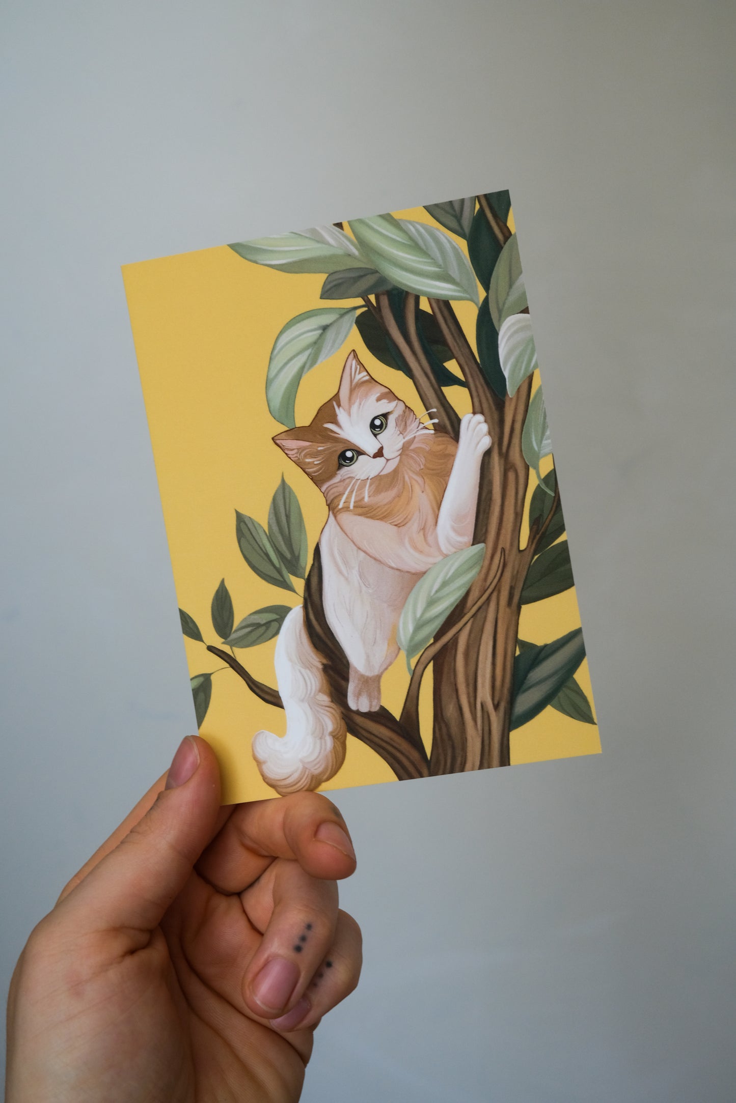 Cat in tree