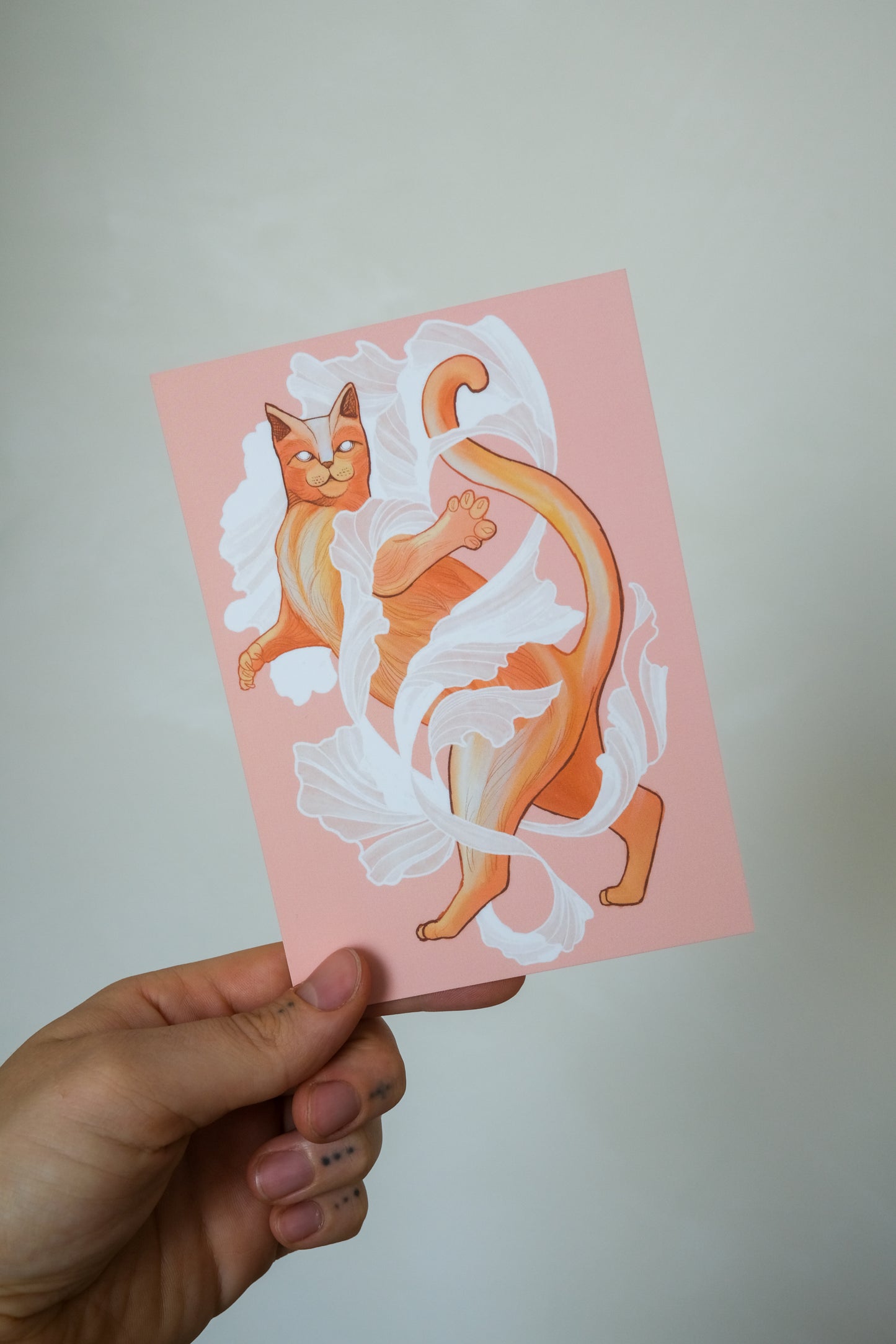 Cat dancing in the wind