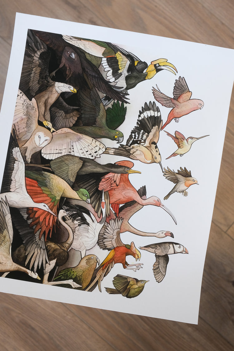 Art Prints & Postcards