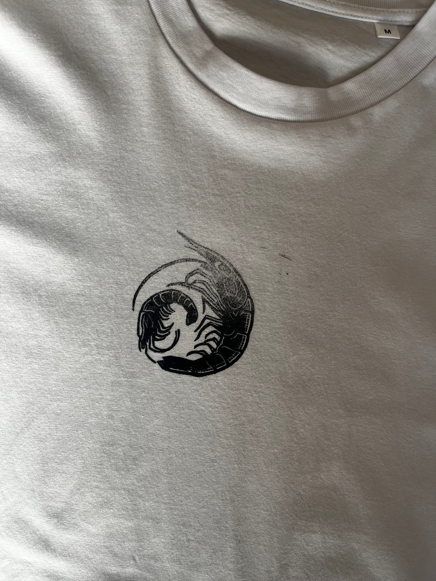 Spiral of Shrimp - Misprint