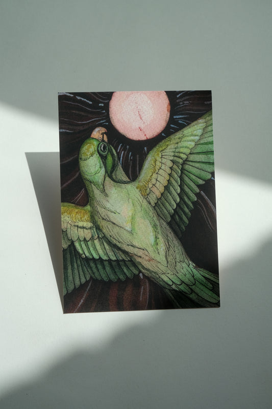 Green parakeet