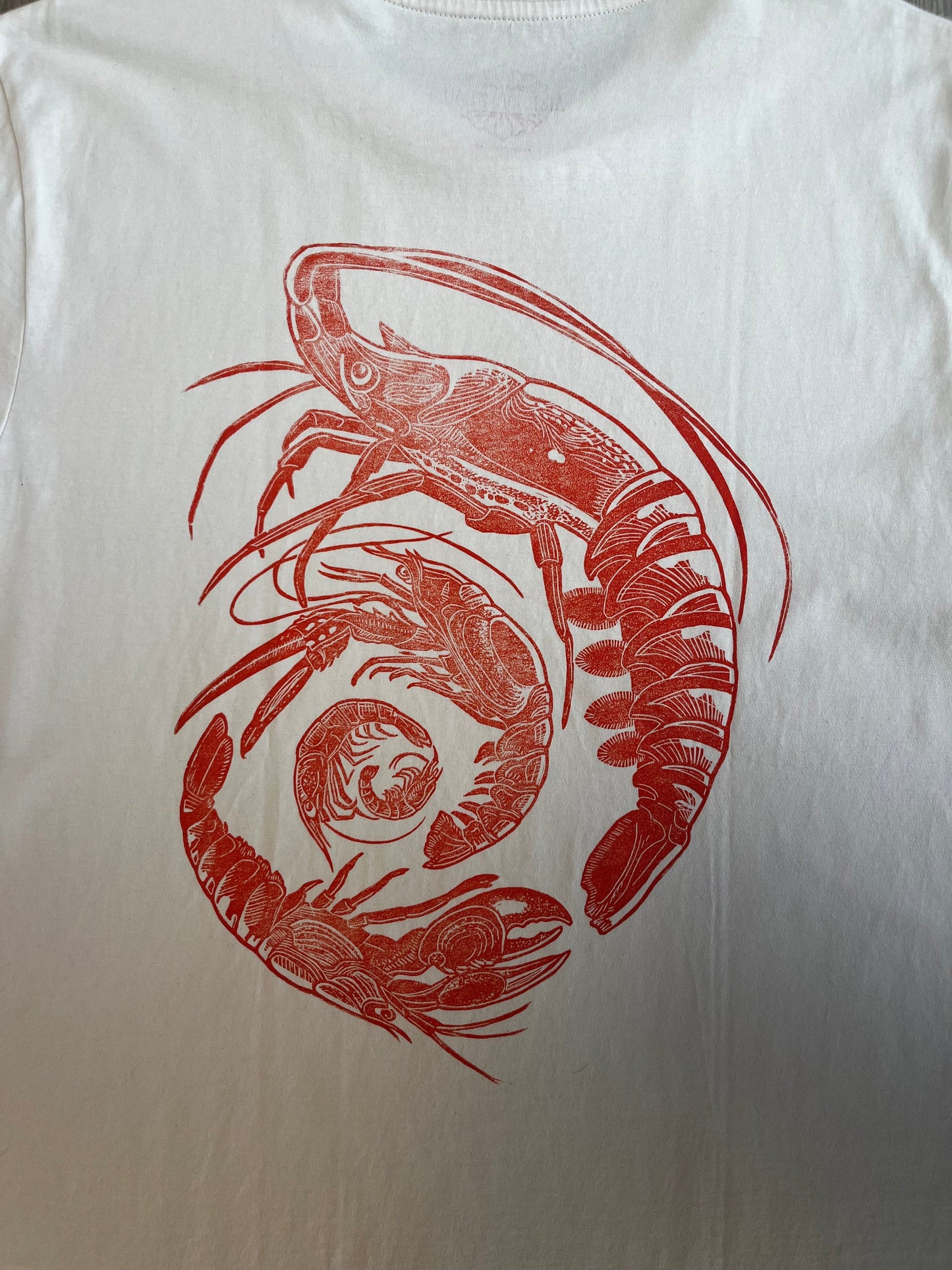 Spiral of Shrimp - Misprint