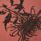 Unisex - Chrysanthemum - Red