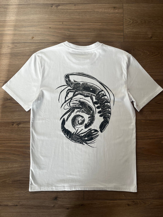 Spiral of Shrimp - Misprint
