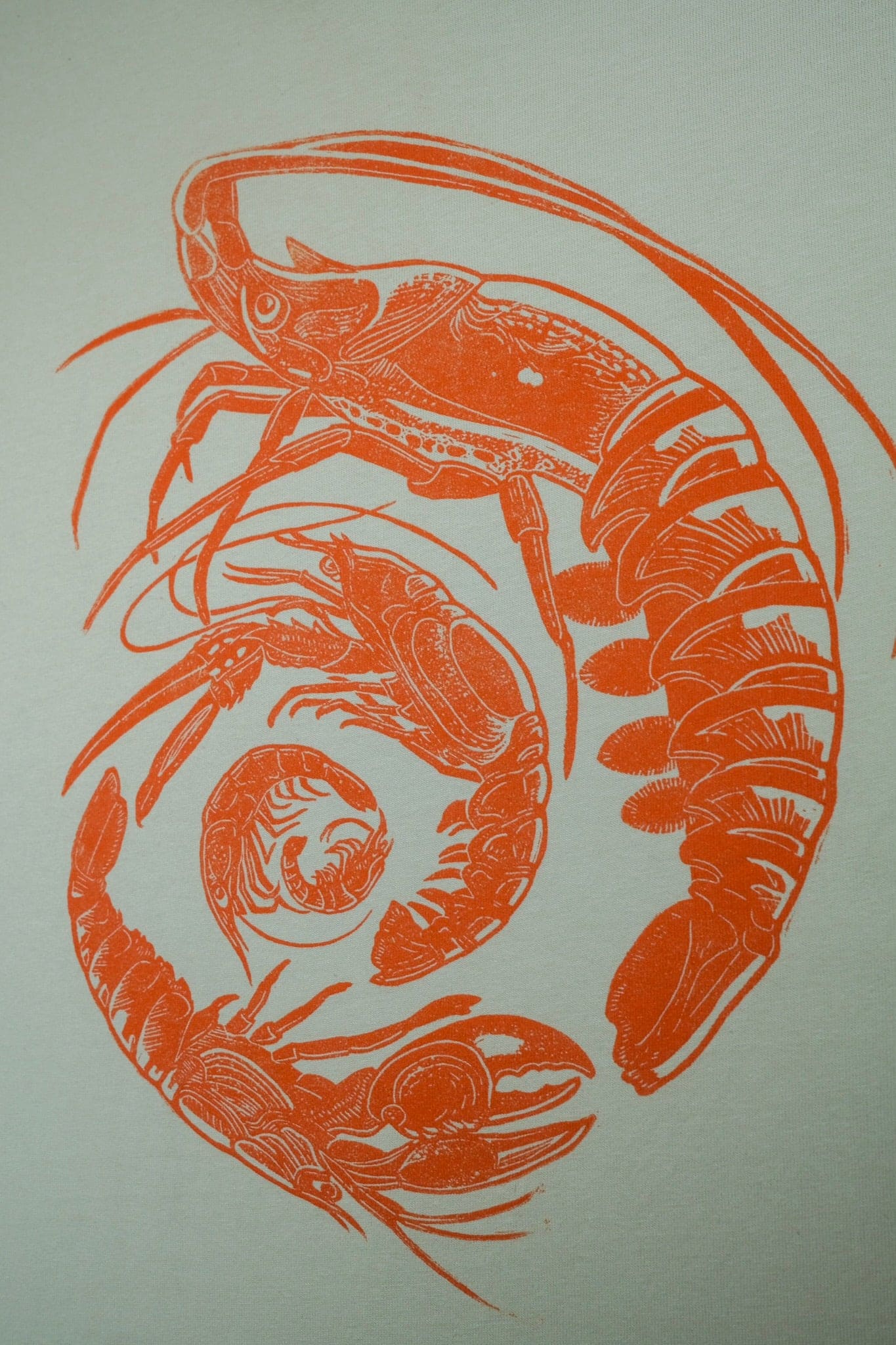 Spiral of Shrimp - Testprint