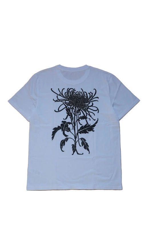 Unisex - Chrysanthemum - Cold White