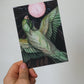 Green Parakeet Postcard