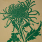 Femenine Fit - Chrysanthemum - Yellow/Green
