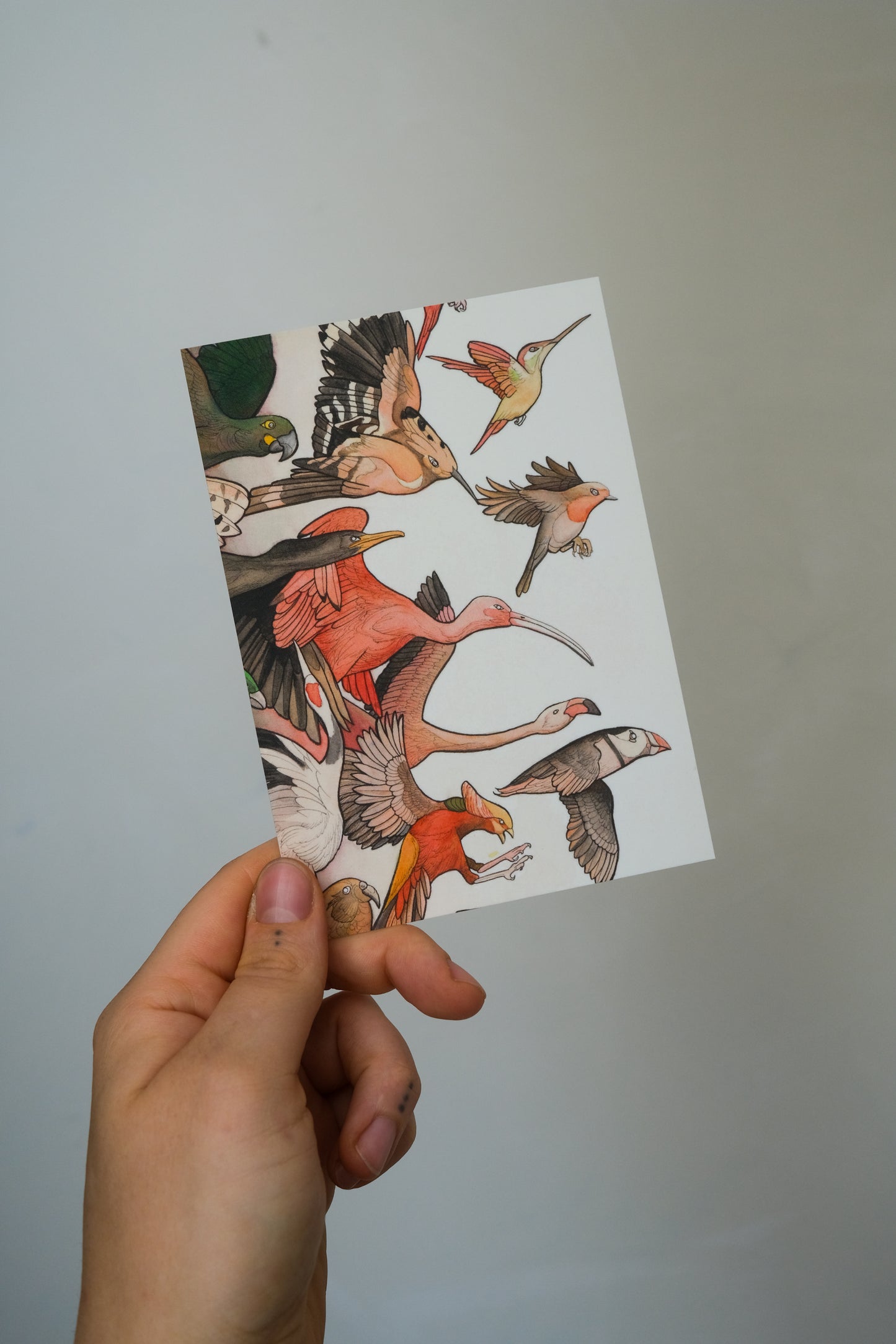 Postcards (10 pieces)