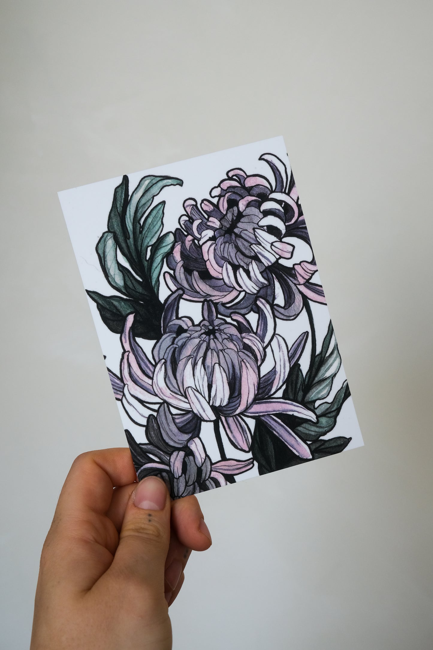 Chrysanthemums
