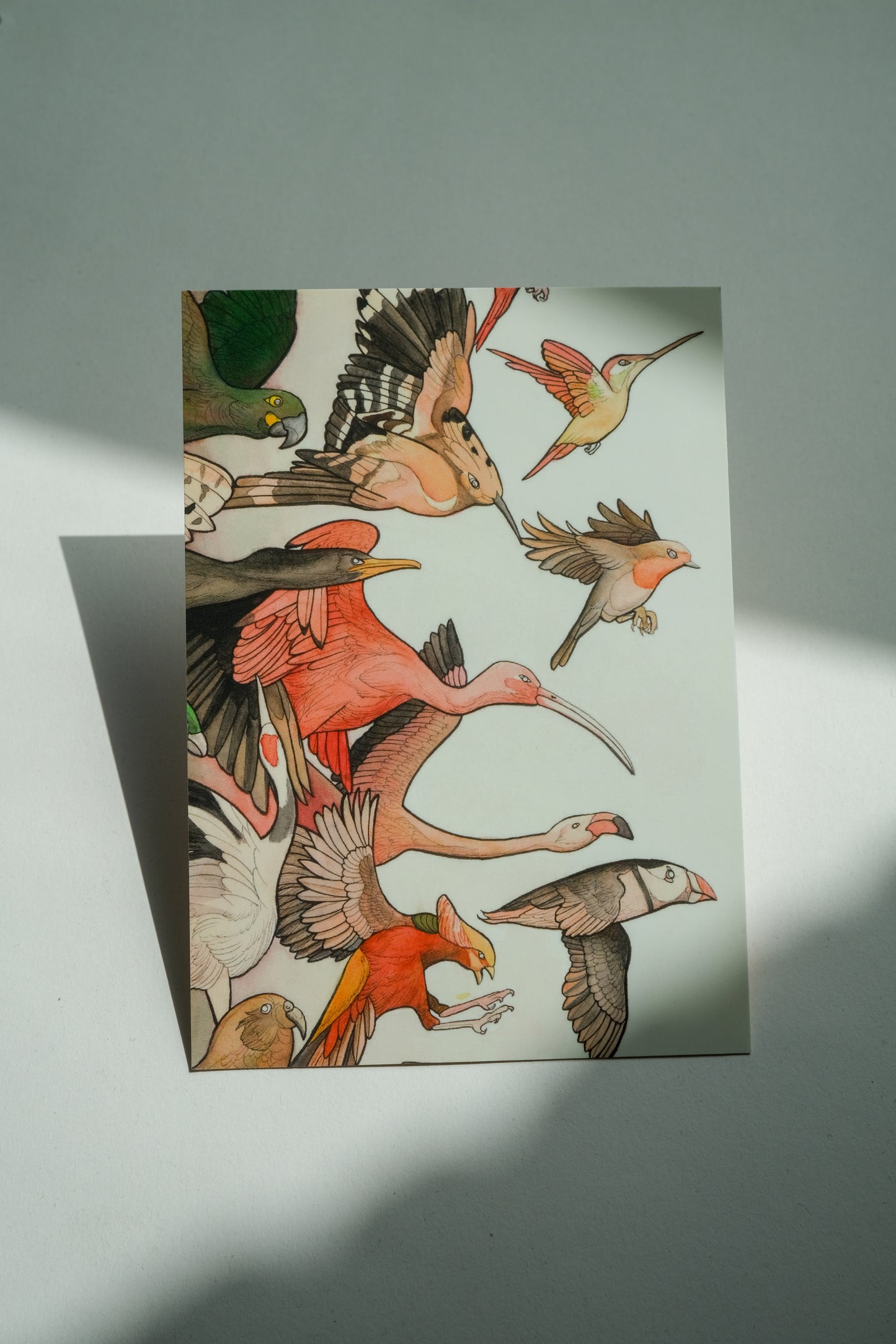 Aquarelle (5 pieces)
