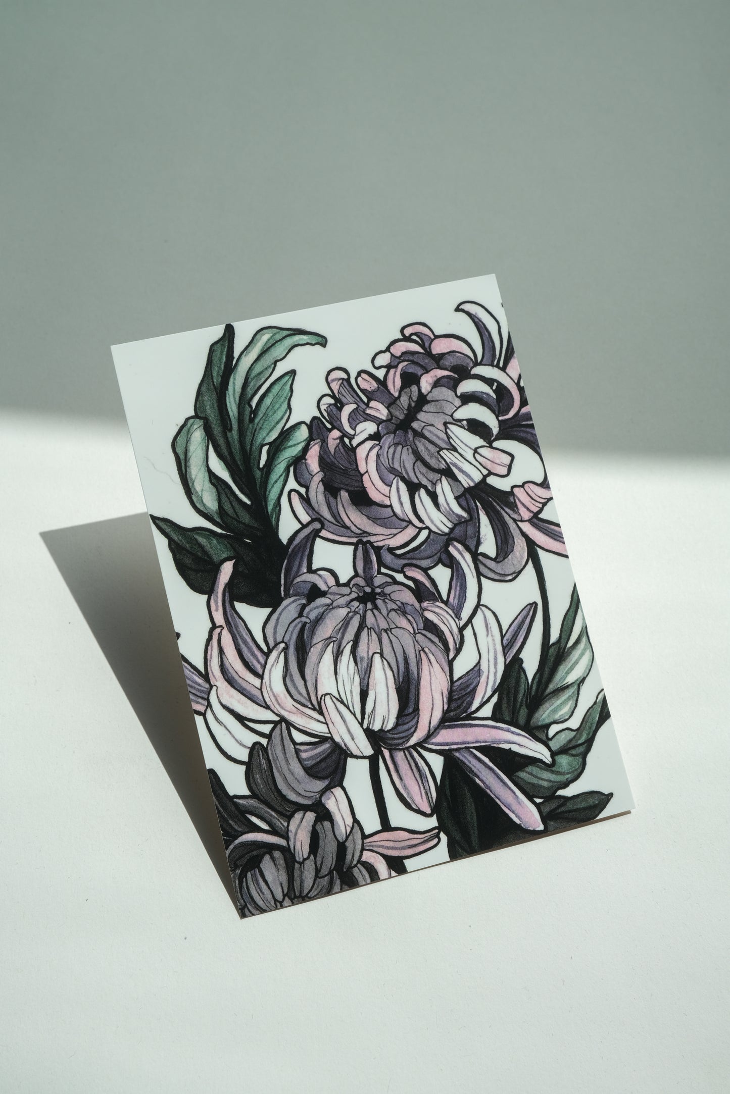 Chrysanthemums