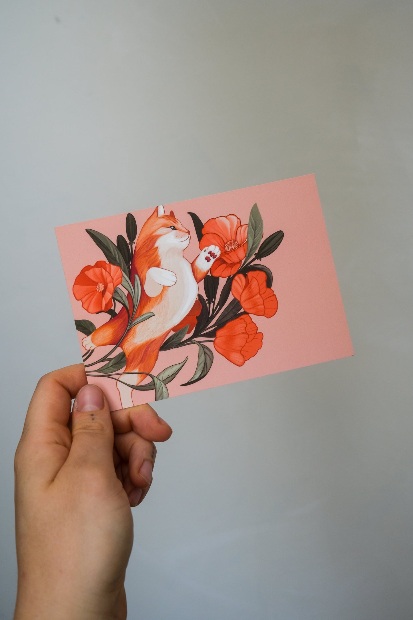Postcards (10 pieces)
