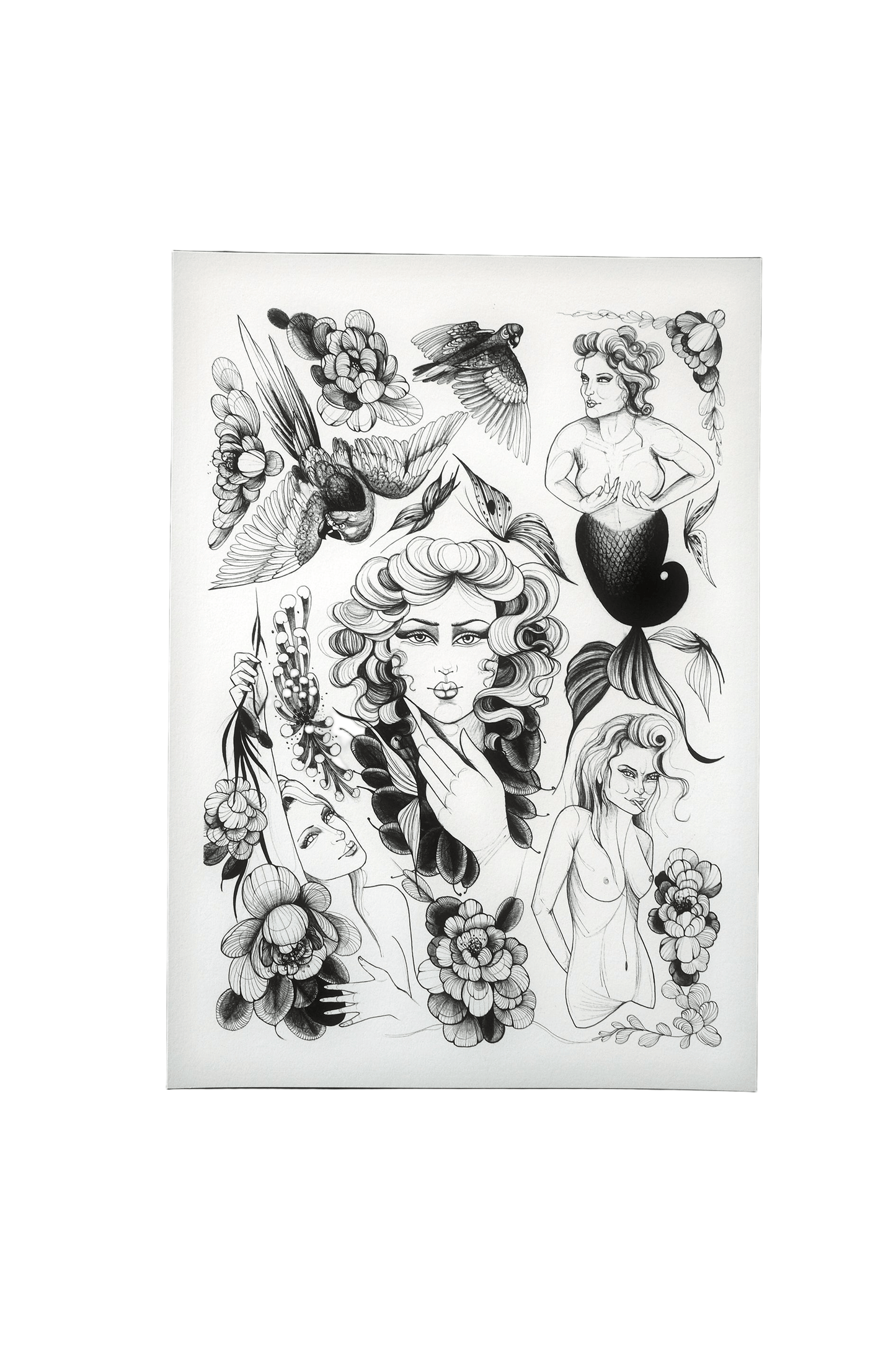 Flash Sheet - Giclée Fine Art Print