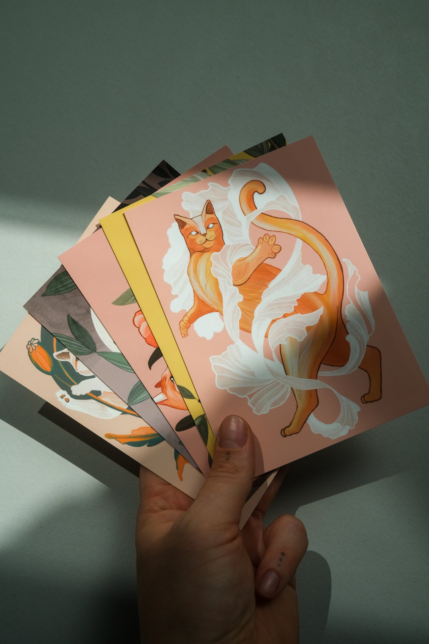 Cats (5 pieces)