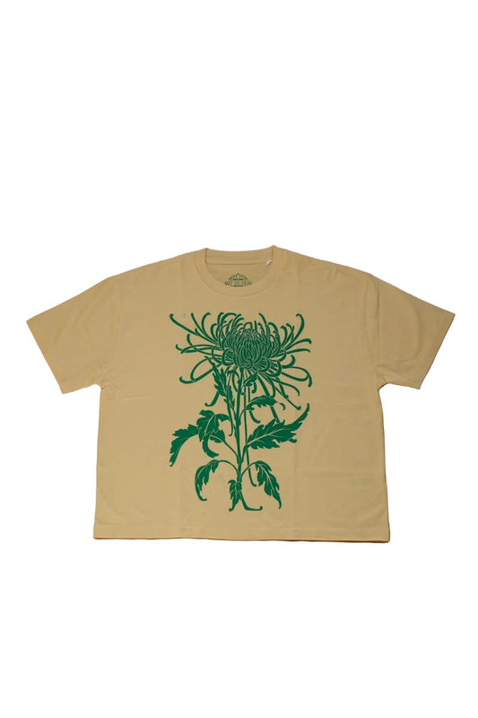 Femenine Fit - Chrysanthemum - Yellow/Green
