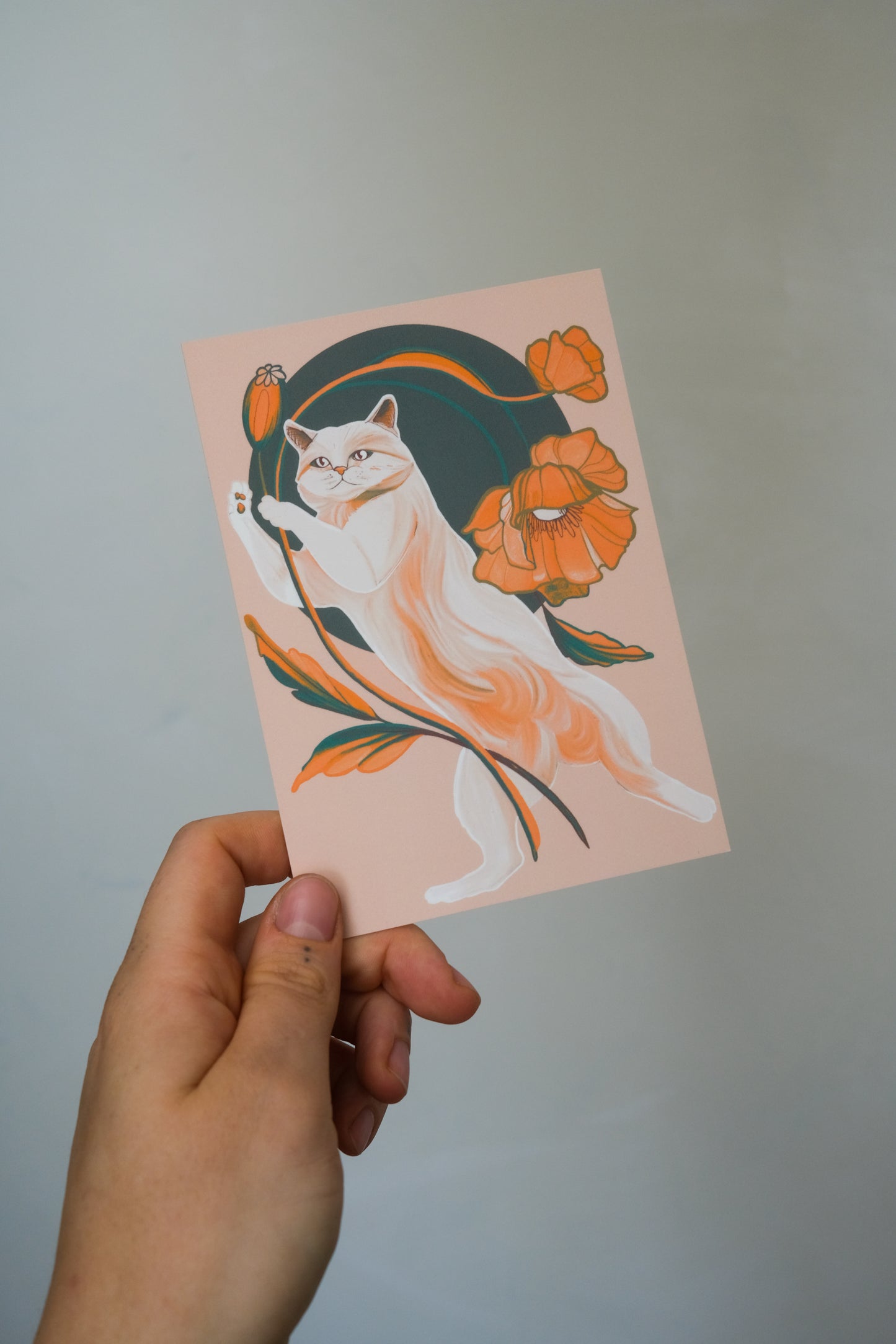Postcards (10 pieces)