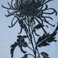 Unisex - Chrysanthemum - Cold White
