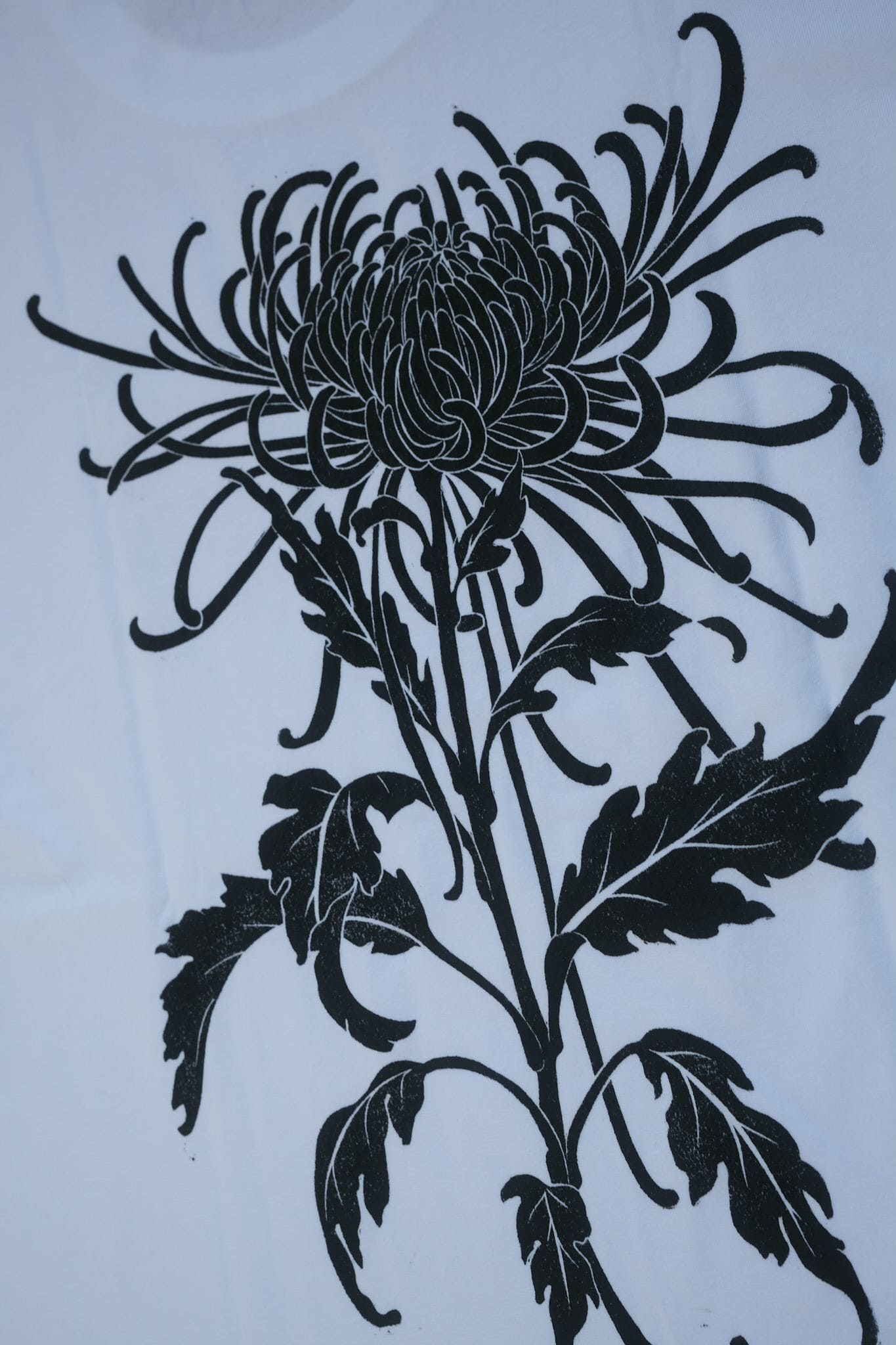 Unisex - Chrysanthemum - Cold White
