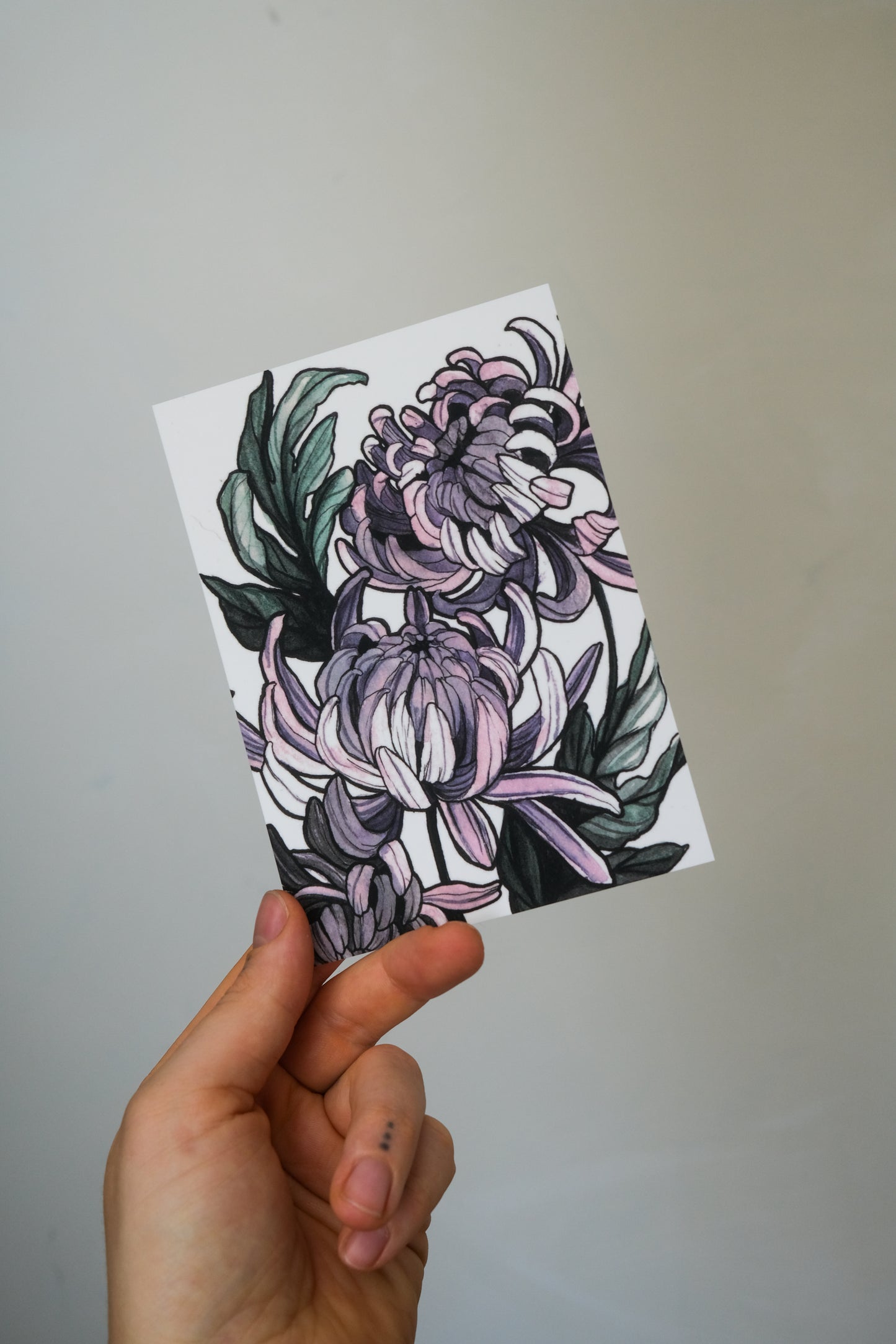Postcards (10 pieces)
